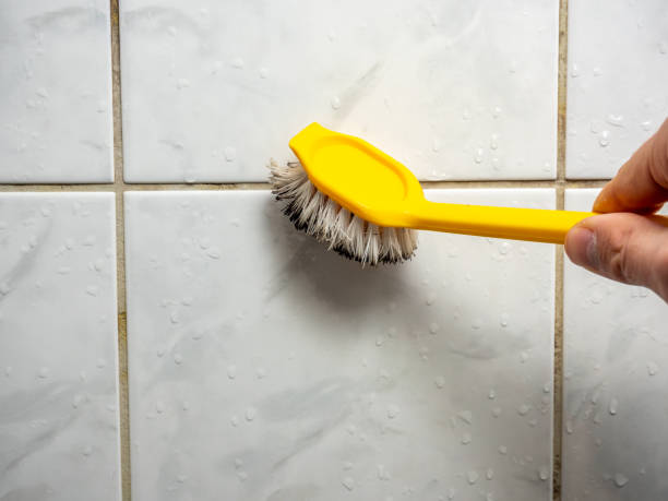 Best Attic Mold Removal  in Wewahitchka, FL