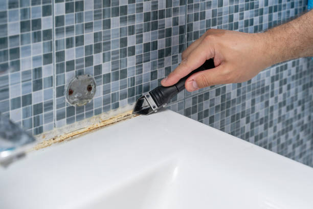 Best Commercial Mold Removal  in Wewahitchka, FL
